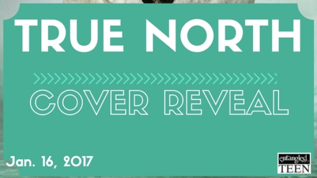 true-north-cover-reveal-banner-4